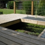 Pond